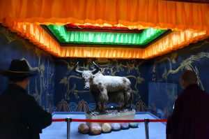 Yak Museum of Tibet (Lhasa)